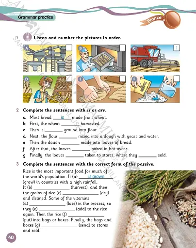 Grammar Goals. Level 5. Student's Book & CD Rom. American Edition - фото 4
