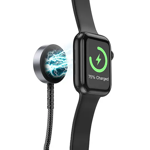 БЗП Hoco CW54 2in1 for Apple Watch + Type-C / Lightning Black - фото 3
