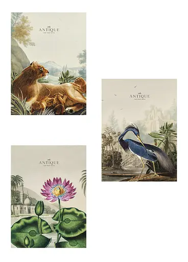 Комплект 3 шт общих тетрадей. Тетрадь Школярик А4 48 л. в линию 5079 4823088220681 - фото 1