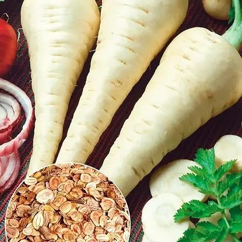 Пастернак (Зипер) ТМ "Весна" 3г (11925) - фото 1