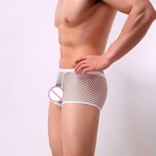 Чоловічі труси спокусливі боксери еластичні в сітку Clever Menmode L білі - фото 2