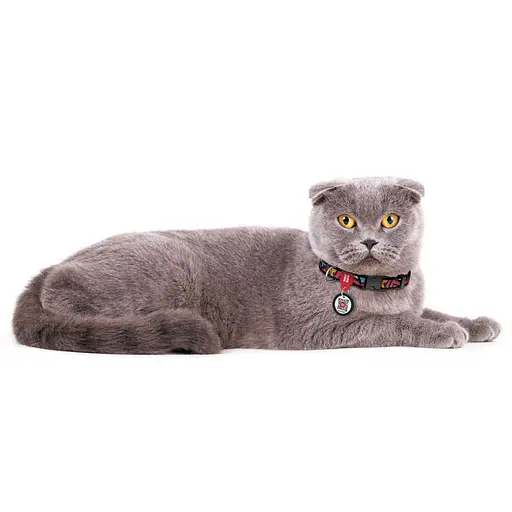 Ошейник для собак нейлоновый Waudog Nylon с QR-паспортом "Граффити" пластиковый фастекс Ш 10 мм Д 20-30 см - фото 3