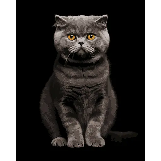 Картина по номерам Strateg Серый аристократ на черном фоне 40 x 50 см (AH1272) - фото 1