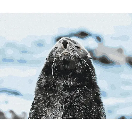 Картина за номерами на підрамнику Brushme Морський котик Сергій Глотов