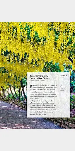 A Garden A Day - фото 5