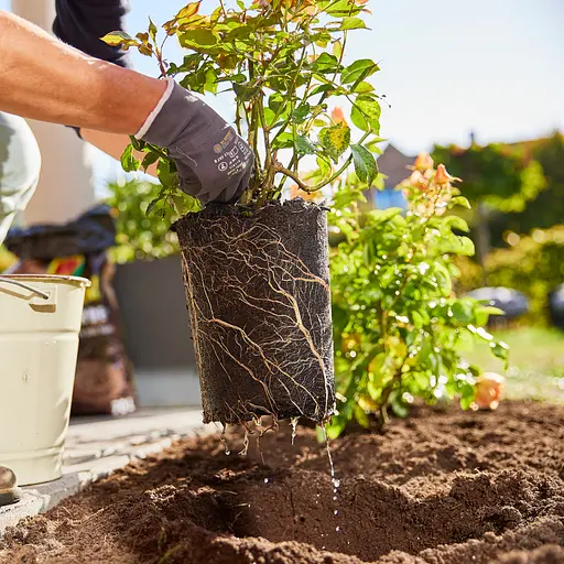 Активатор корней COMPO ТURBO 700 г - фото 13