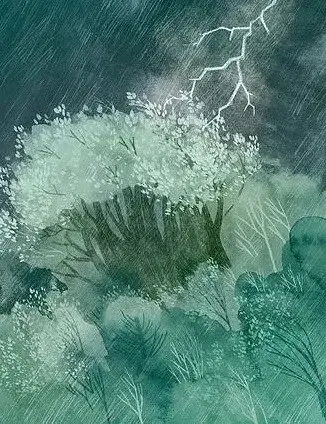 Туконі - мешканець лісу - фото 4