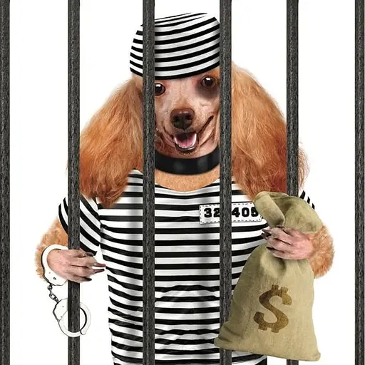 Dogs Gone Bad - Рассел Джек - фото 5