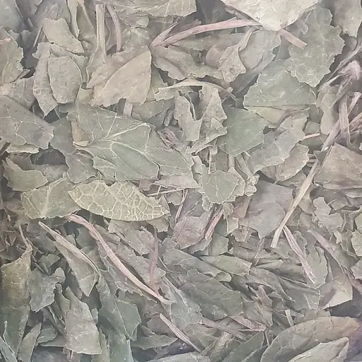 100 г грушанка листя сушене - свіжий урожай