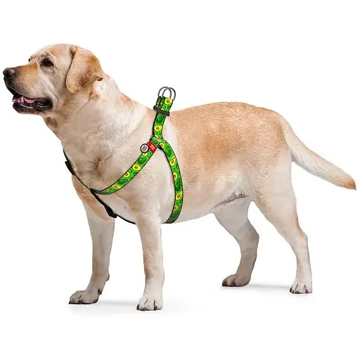 Шлейка для собак Waudog Nylon с QR паспортом, рисунок "Авокадо", пластиковый фастекс - фото 3