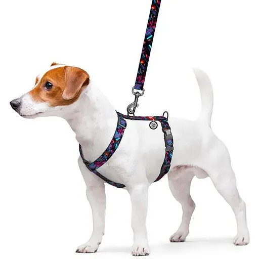 Шлея для собак Waudog Nylon анатомічна H-подібна з QR-паспортом, малюнок "Нескінченні світи", пластиковий фастекс, M - фото 3