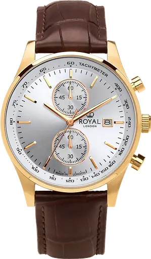 Часы ROYAL LONDON 41510-03