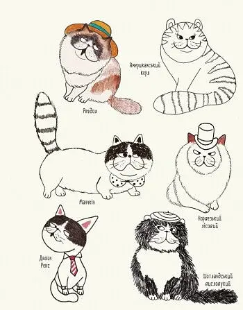 Котюрморт - фото 4