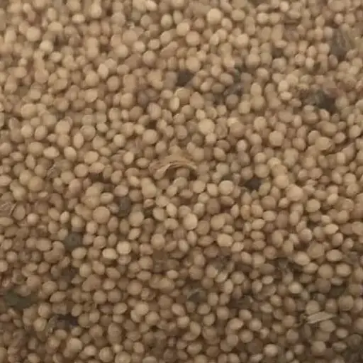 100 г амарант плоди/насіння сушене - свіжий урожай