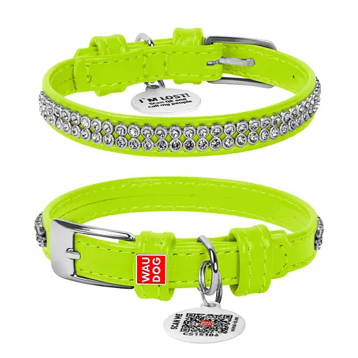 Нашийник для собак шкіряний Waudog Glamour з QR-паспортом з прикрасою "Полотно стрази" XS Ш 12 мм Д 21-29 см салатовий