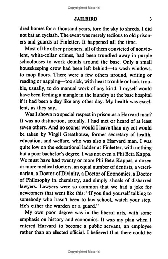 Jailbird - фото 5