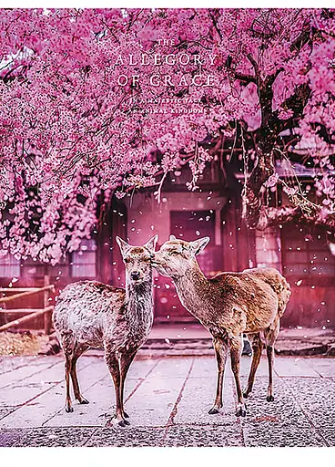 Комплект 4 шт загальних зошитів. Зошит Школярик А5 48 арк. у лінію 5072 4823088219197 - фото 2