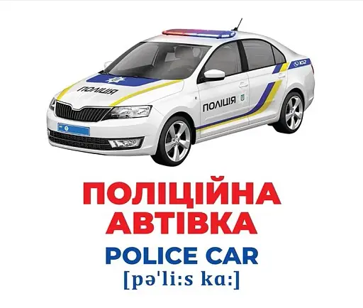 Спецтранспорт. Геній з пелюшок - фото 3