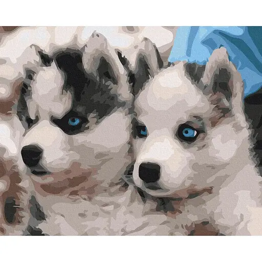 Картина по номерам на підрамнику Brushme Цуценята хаскі - фото 1