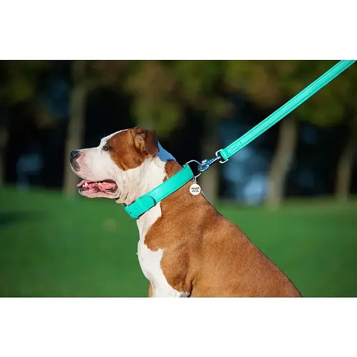 Повідець для собак Waudog Glamour шкіряний, ментоловий - фото 7