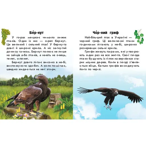 Читаю про Украину по слогам "Животные гор" 366021 с цветными иллюстрациями - фото 4
