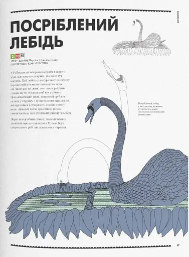 Роботландія, Бeрта Парамо/ - фото 9