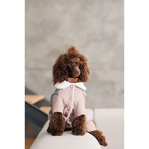 Костюм для собак Pet Fashion Twiddy S девочка пудровый - фото 4