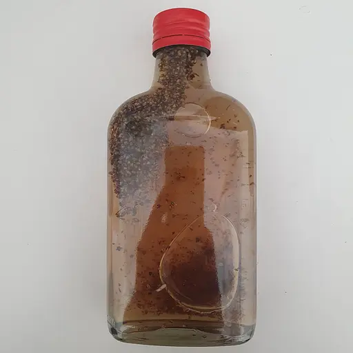 Настойка на псиллиуме шелухе семян подорожника 200 мл - фото 2