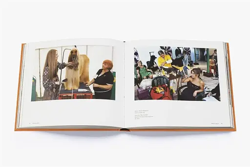 Magnum Dogs - фото 4