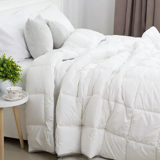 Одеяло ТЕП Cote Blanc Silk 180x210 см белый (1-00186_00000) - фото 1