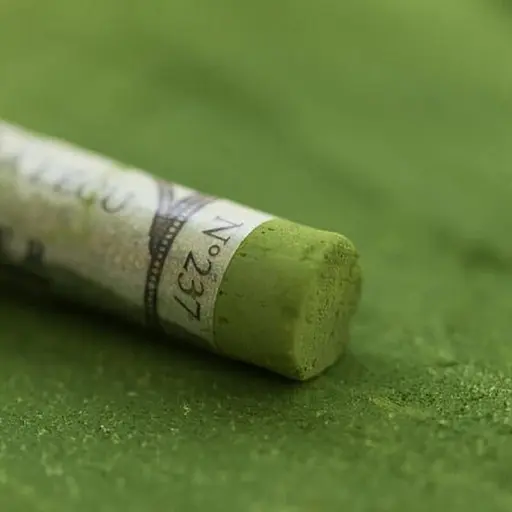 Сухая пастель Sennelier, мягкая, Оливково-зеленый N°2 - фото 2