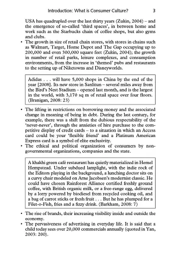 Consumer Culture (2nd Edition) - фото 6