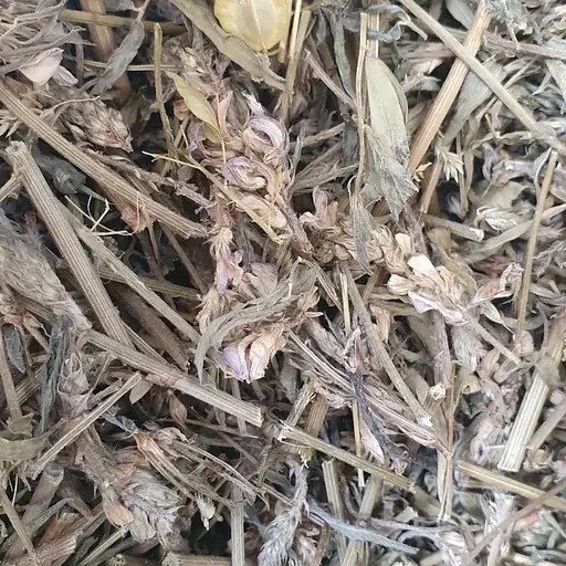 100 г еспарцет трава сушена - свіжий урожай