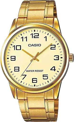 Часы Casio Timeless Collection MTP-V001G-9BUDF