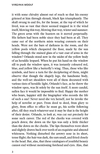 Orlando - фото 4