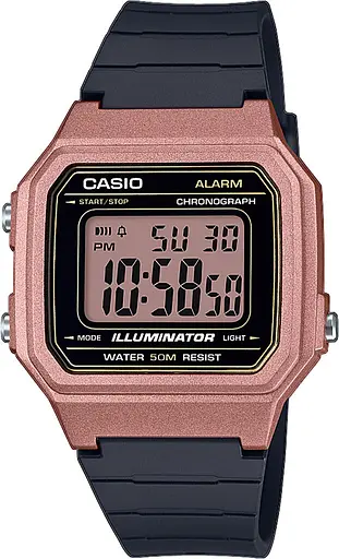 Часы Casio Timeless Collection W-217HM-5AVEF