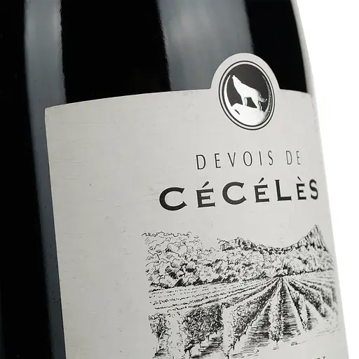 Вино Devois De Ceceles Rouge 2020 AOP Pic Saint Loup, красное, сухое, 0.75 л - фото 5