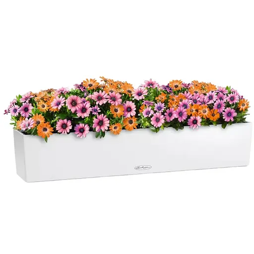 Вазон Lechuza Balconera Color 100 білий (15919)