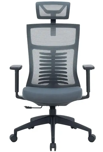 Офісне крісло OfficePro Balance OC550-B-DG-DG (OC550-B-DG-DG) - фото 2