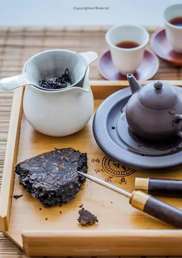 Tea: Wine's Sober Sibling - фото 3