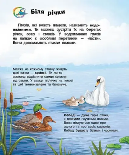 Енциклопедія дошкільника: Птахи - фото 5