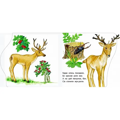 Детская книжечка "Первые шаги: В зоопарке" 410012 на украинском языке - фото 2