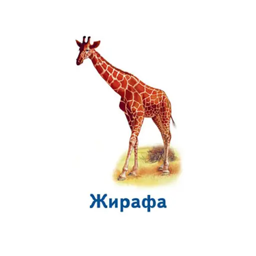 Настольная игра Парочки: Мир животных Ранок 1392003, 6 игр - фото 3