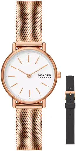Часы Skagen Signatur Lille SKW1153SET + ремешок