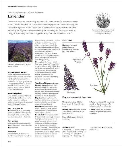 Encyclopedia of Herbal Medicine - фото 9