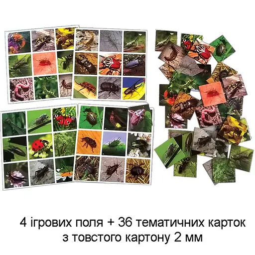 Настільна гра супер ЛОТО "Комахи" 81947, 36 карток - фото 2