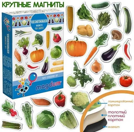 Набір магнітів Magdum "Овочі" ML4031-12 EN - фото 3