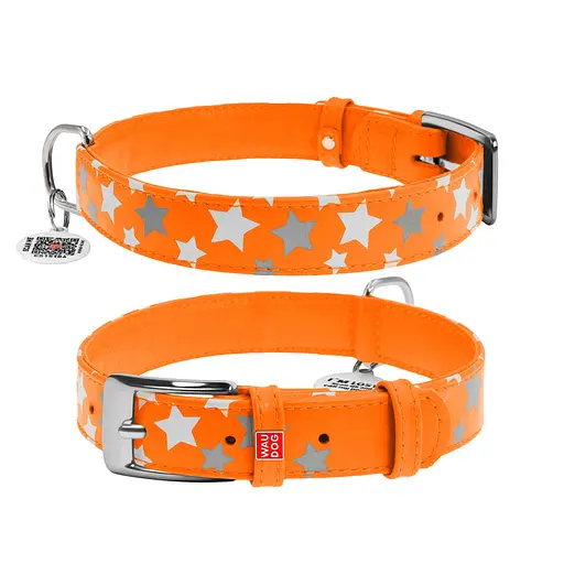 Нашийник для собак шкіряний Waudog Glamour з QR-паспортом візерунок "Зірочка" світлонакопичувальний/світловідбивний M Ш 20 мм,