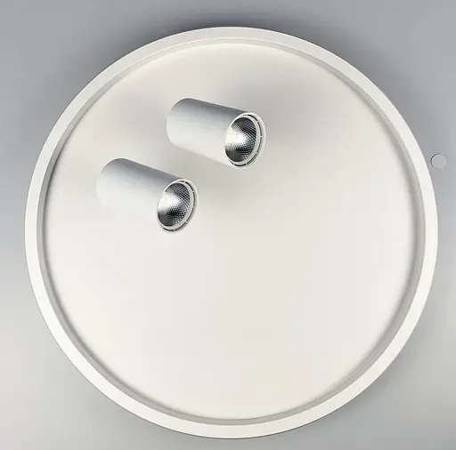 Стельова люстра LED в білому корпусі з направляючими спотами Line.F C 13/500 - фото 6