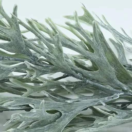 Искусственная ветвь Engard Стегхорн 100cм (TW-44) - фото 3